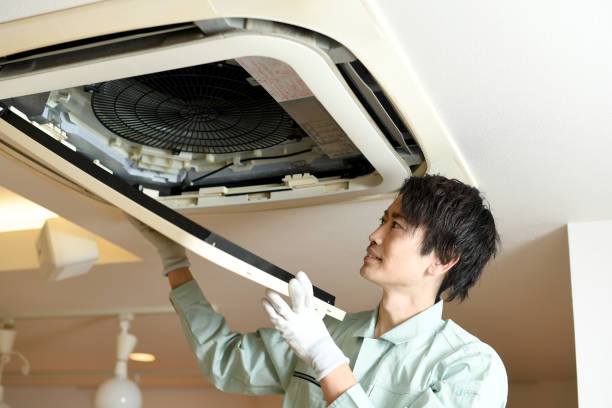 Best Affordable HVAC Duct Cleaning  in Stone Park, IL